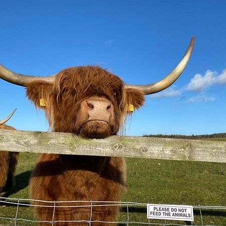Glampods Glamping Pod - Meet Highland Cows And Sheep Elgin 빌라 외부 사진