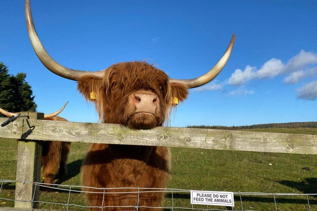 Glampods Glamping Pod - Meet Highland Cows And Sheep Elgin 빌라 외부 사진