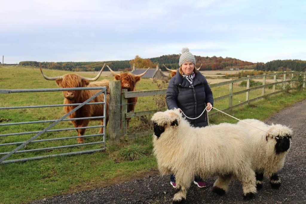 Glampods Glamping Pod - Meet Highland Cows And Sheep Elgin 빌라 외부 사진