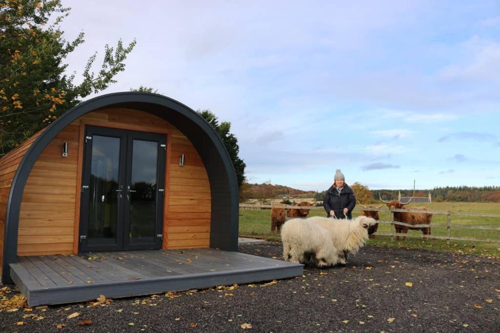 Glampods Glamping Pod - Meet Highland Cows And Sheep Elgin 빌라 외부 사진