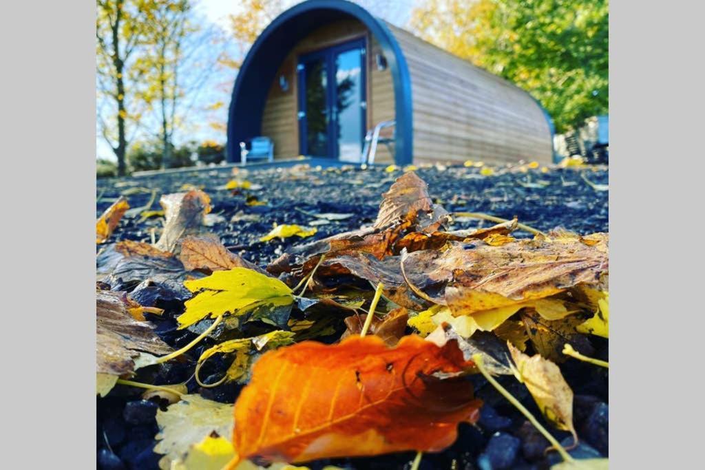 Glampods Glamping Pod - Meet Highland Cows And Sheep Elgin 빌라 외부 사진